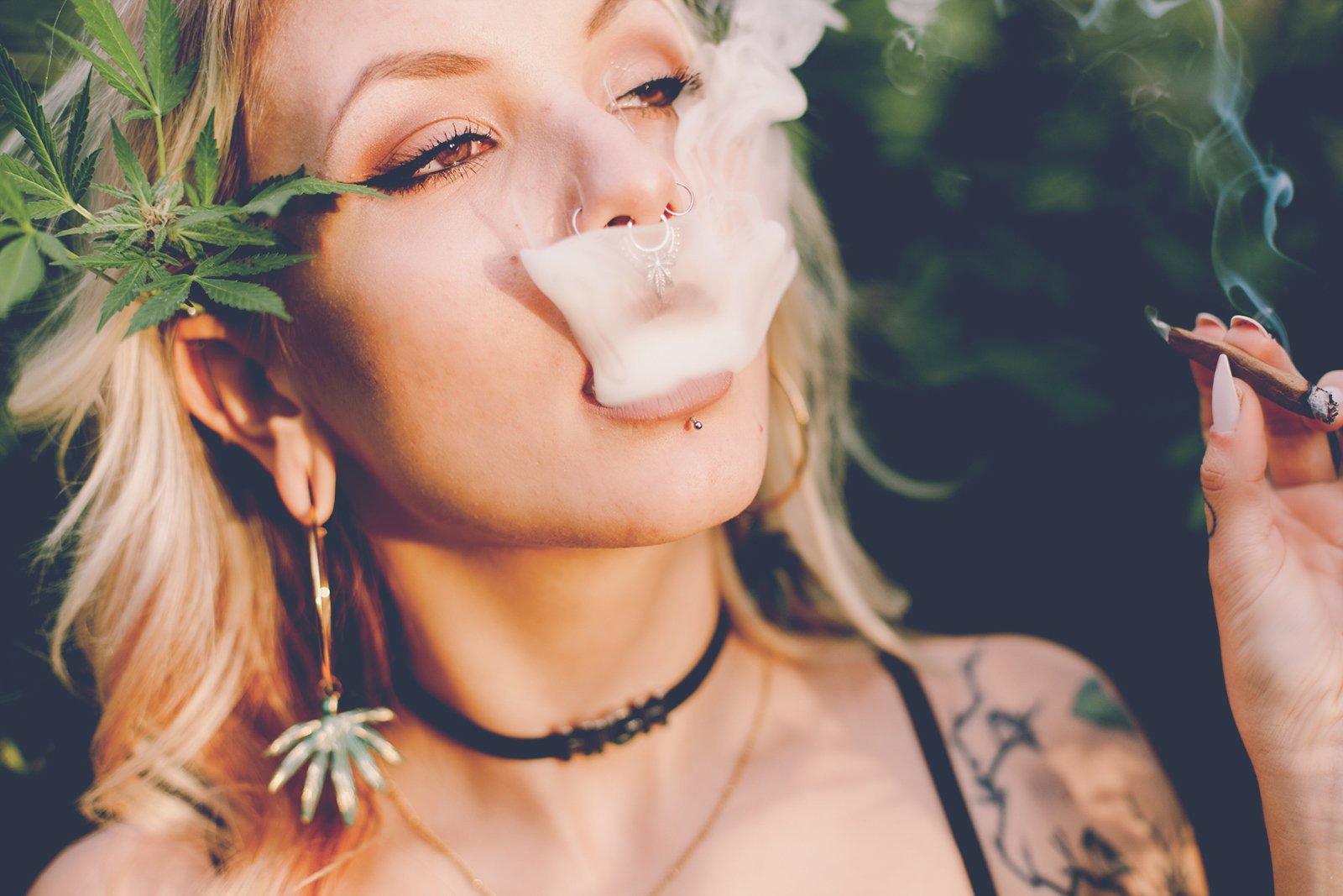 Por fin! Canadá Legalizó la Marihuana