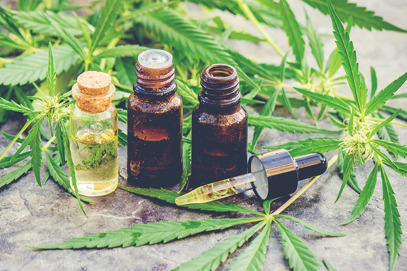 ¿Cual es Furor de el Aceite de Cannabis?